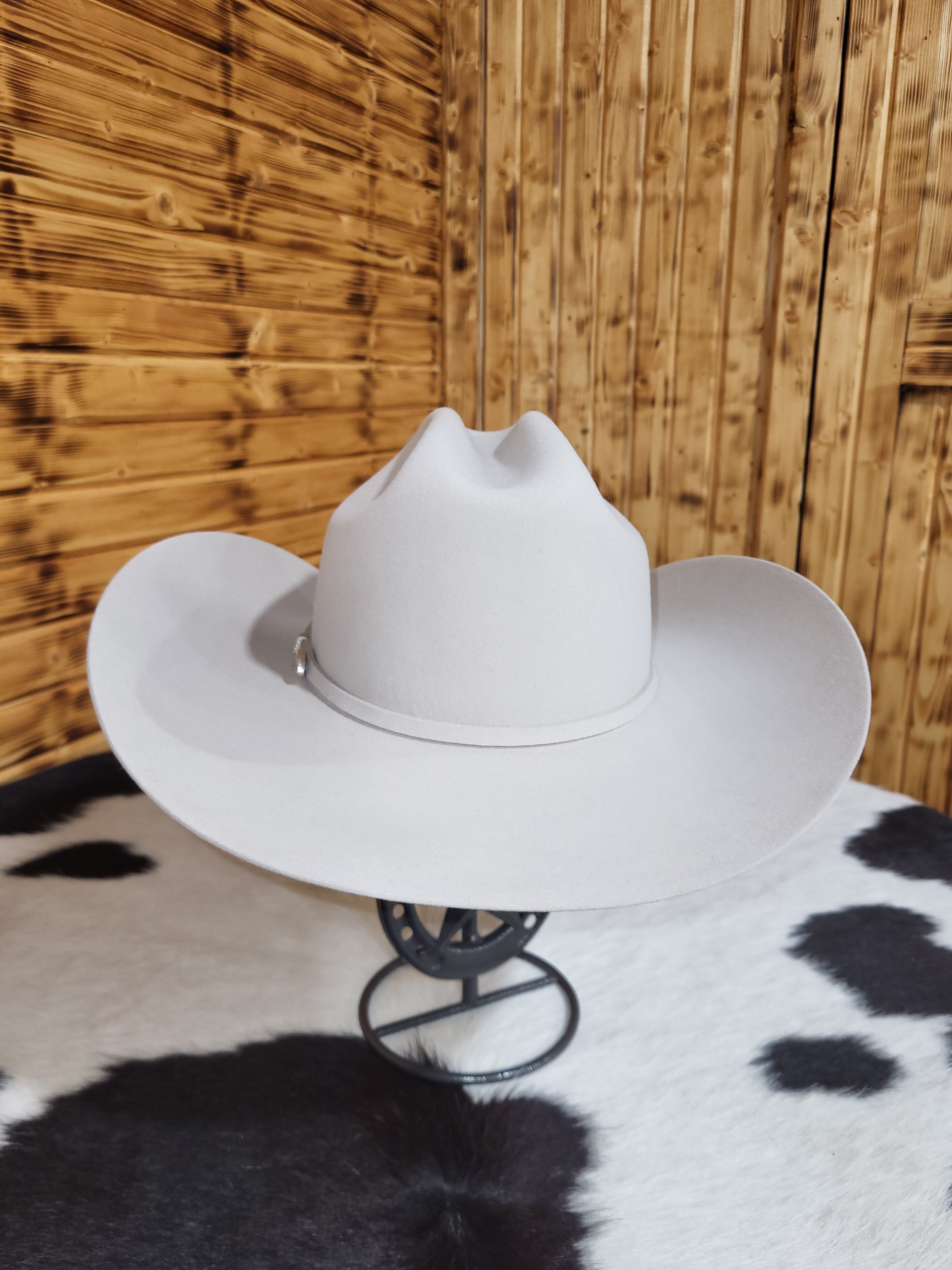 Silverbelly 6X STETSON