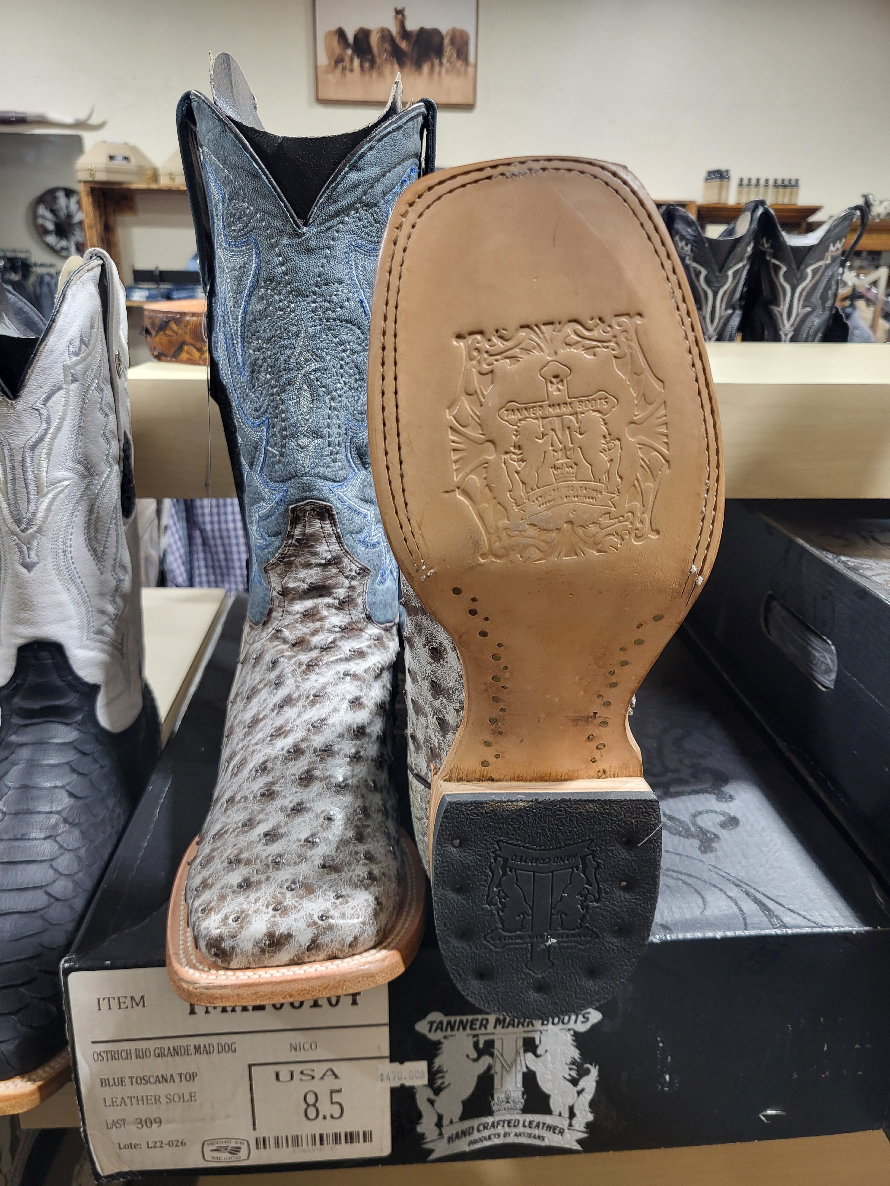 OSTRICH EXOTIC NICO WIDE TM8104