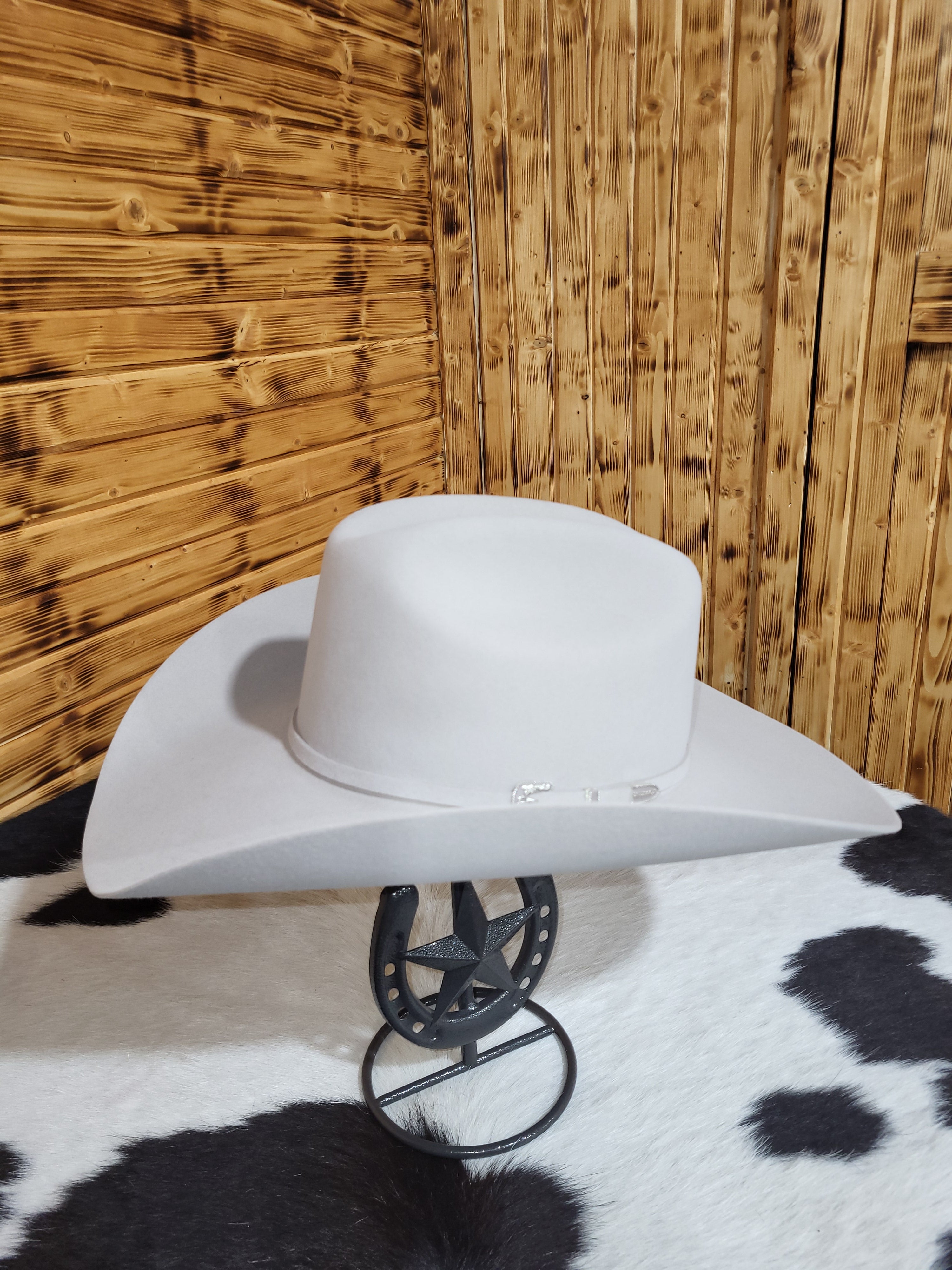 Silverbelly 6X STETSON