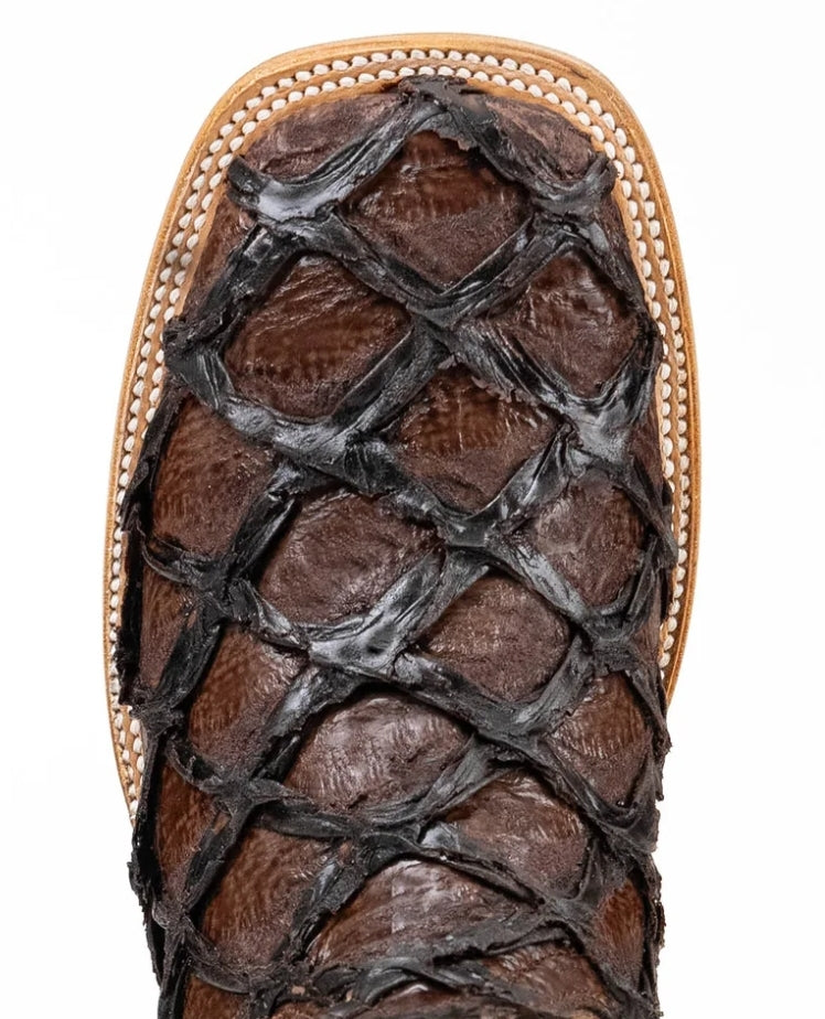 ROCK'EM ALEX PIRARUCU CLONE CHOCOLATE