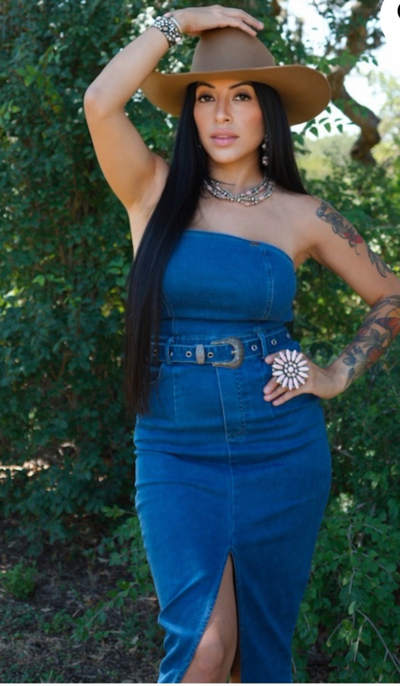 Lucky Denim Dress