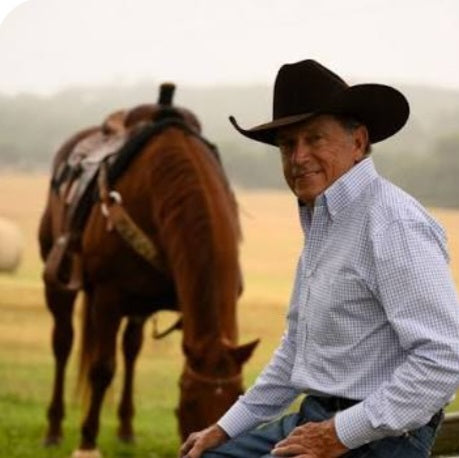 RESISTOL  BROWN DRIFTWOOD 6X