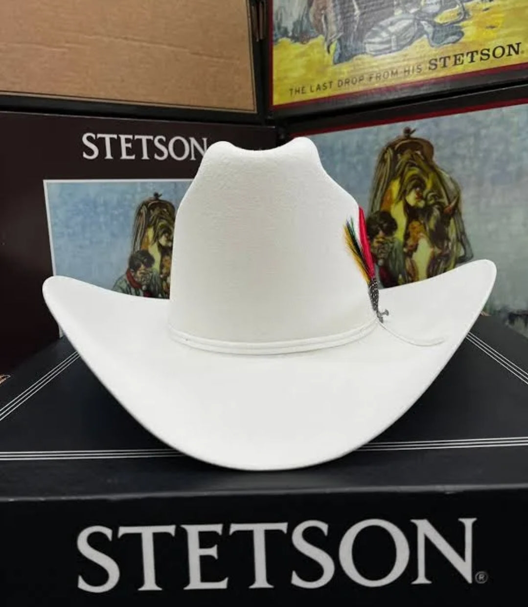 WHITE 6X STETSON