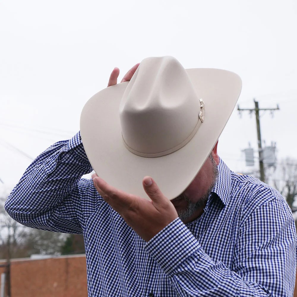 Silverbelly 6X STETSON